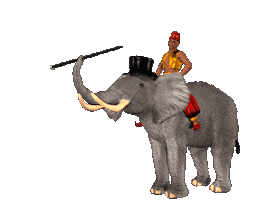 elephant STICKER