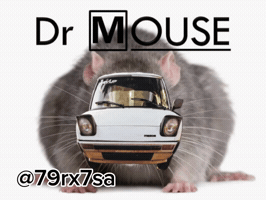 Mouse GIF