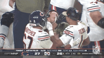 Happy Chicago Bears GIF by NFL