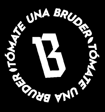 Bruder cerveza GIF