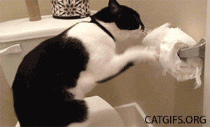Animal gif. A black and white cat claws a roll of toilet paper to tatters. 