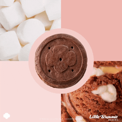 Girl Scout Cookies Chocolate GIF by Little Brownie Bakers