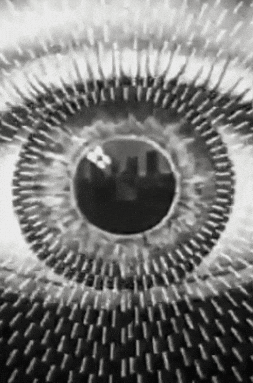 Black And White Women GIF by The Pathfinder