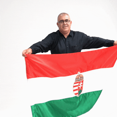 Toth Viktor GIF by Jobbik Magyarországért Mozgalom