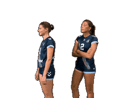 Surprise Wow Sticker by Neptunes_VolleyBall