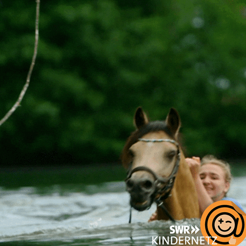 Happy Summer GIF by SWR Kindernetz