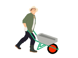 Anemone Jardineria Sticker