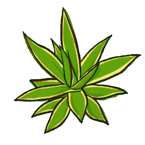 Plant Agave Sticker