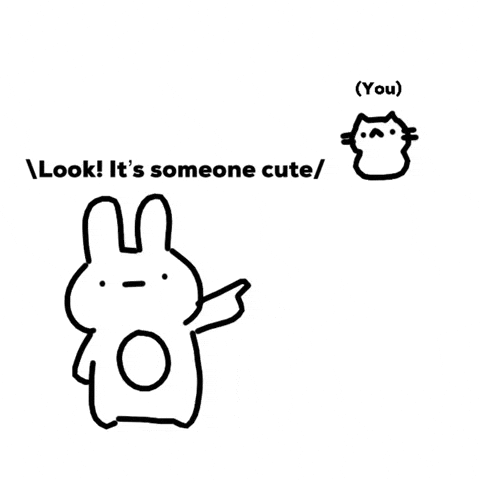 Cat Love GIF