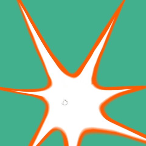 lsamsterdam GIF