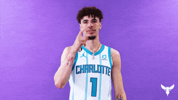 Lamelo Ball Basketball GIF by Charlotte Hornets