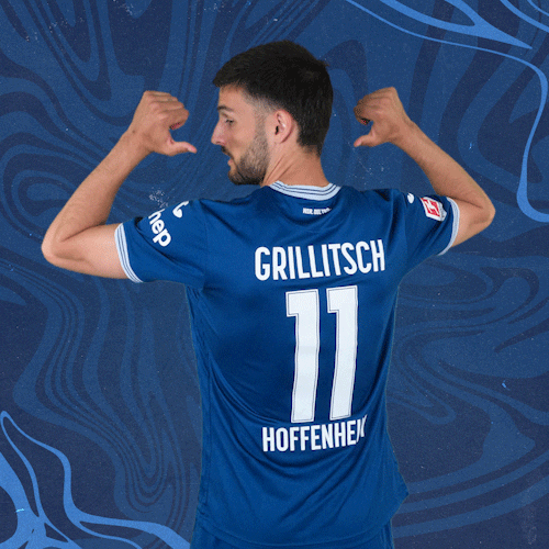 Florian Grillitsch Football GIF by TSG Hoffenheim