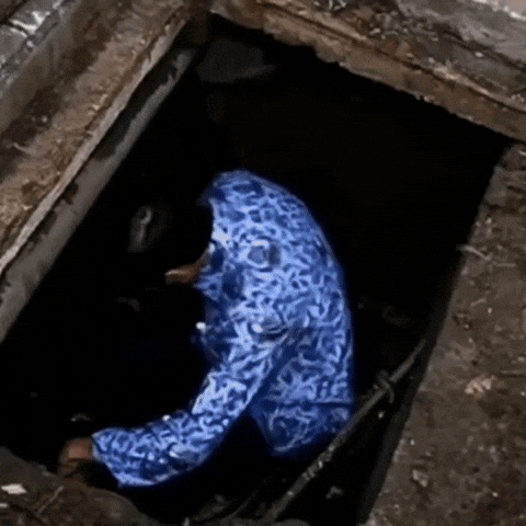 Jokowi GIF