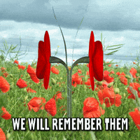 Memorial Day Remembrance GIF