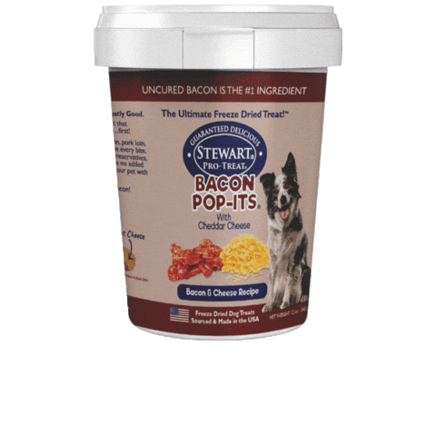 Stewart Pet Sticker