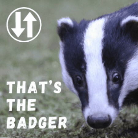 Badger GIF by Warwickshire Arts