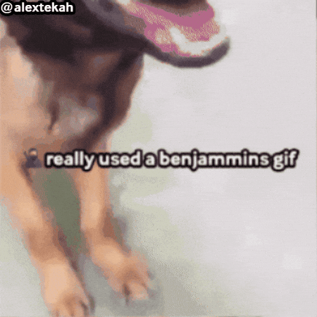 Benjamin GIF