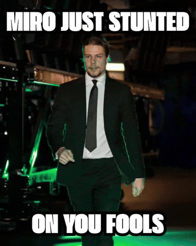 You Fools Miro Heiskanen GIF