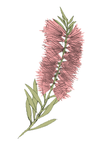 OiOi Sticker