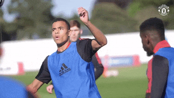 United GIF