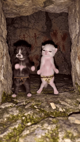 Ai Cat GIF