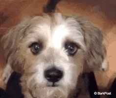 200.gif