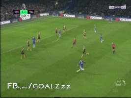 naderibrahim  GIF