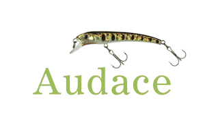 Audace Sticker by molix