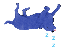 Dog Sticker