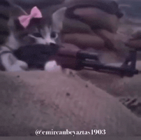 Emircanbeyaztas1903 GIF