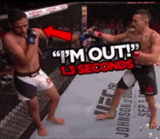 Max Holloway Ufc GIF