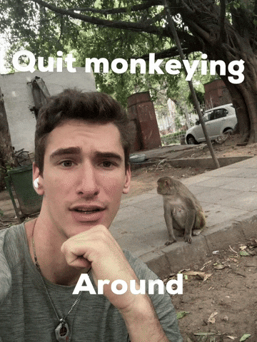 Stop Monkeying GIF by Jackson