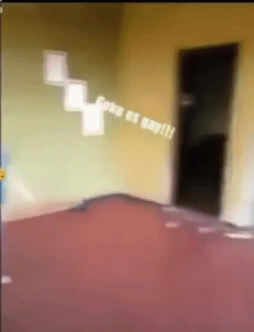 Domoy GIF