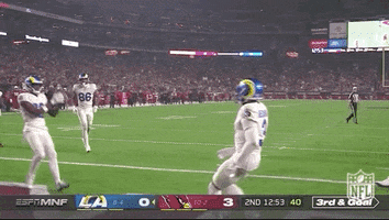 Disarm Los Angeles Rams GIF by NFL