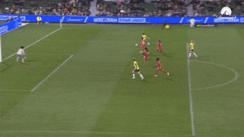Hayley Raso Goal GIF by Football Australia
