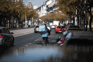 Wolt GIF