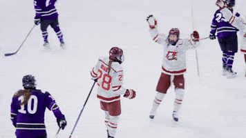 Ice Hockey Celebration GIF by Norwich University