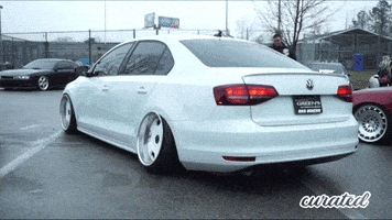 Club Volkswagen GIF by Curated Stance Club!
