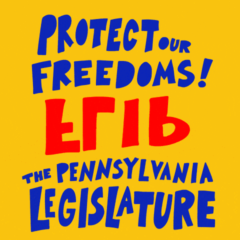 Protect our Freedoms! Flip the Pennsylvania Legislature