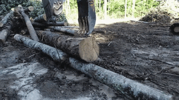 Excavator Logging GIF by JC Property Professionals