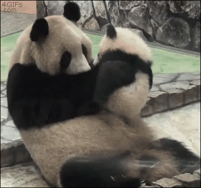 source.gif