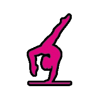 Dance Tumbling Sticker by Perfect 10.0 Physical Therapy