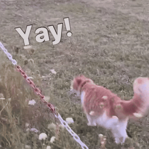 Happy GIF