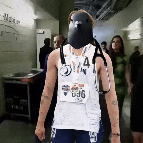 Villanova GIF by Boston College Women's Lacrosse