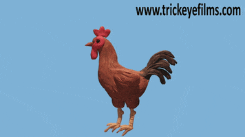 trickeye claymation, stop-motion, stop motion, stop motion animation, clay animation, chicken, rooster, anima GIF