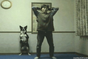 Dog Exercise GIF - Find & Share on GIPHY