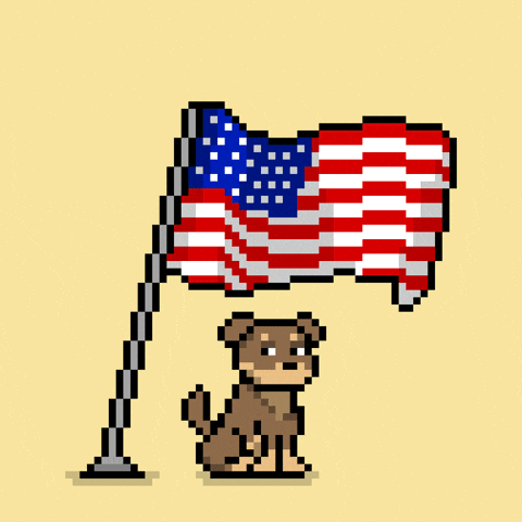 Happy Independence Day GIF by Doginal Dogs