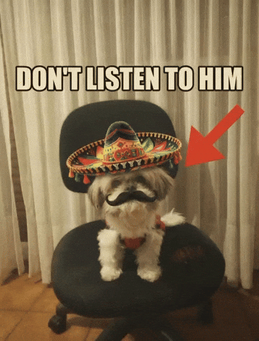 Mexico Mexican GIF