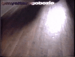 Alan Vega GIF
