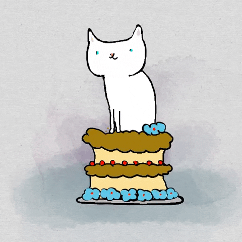 Happy Birthday Cat GIF by Kimmy Ramone